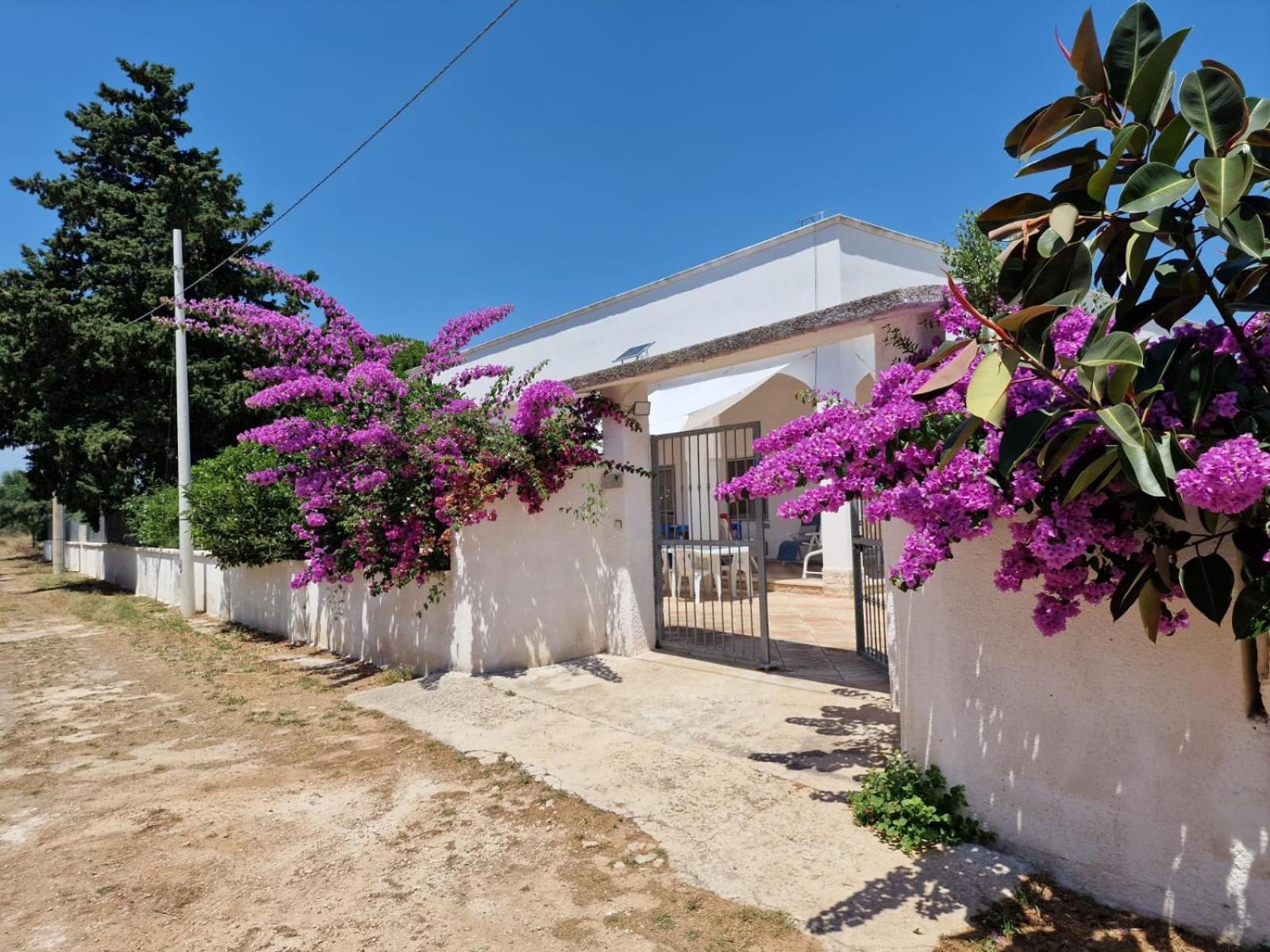 Villa Carmela A San Pietro In Bevagna Eksteriør billede