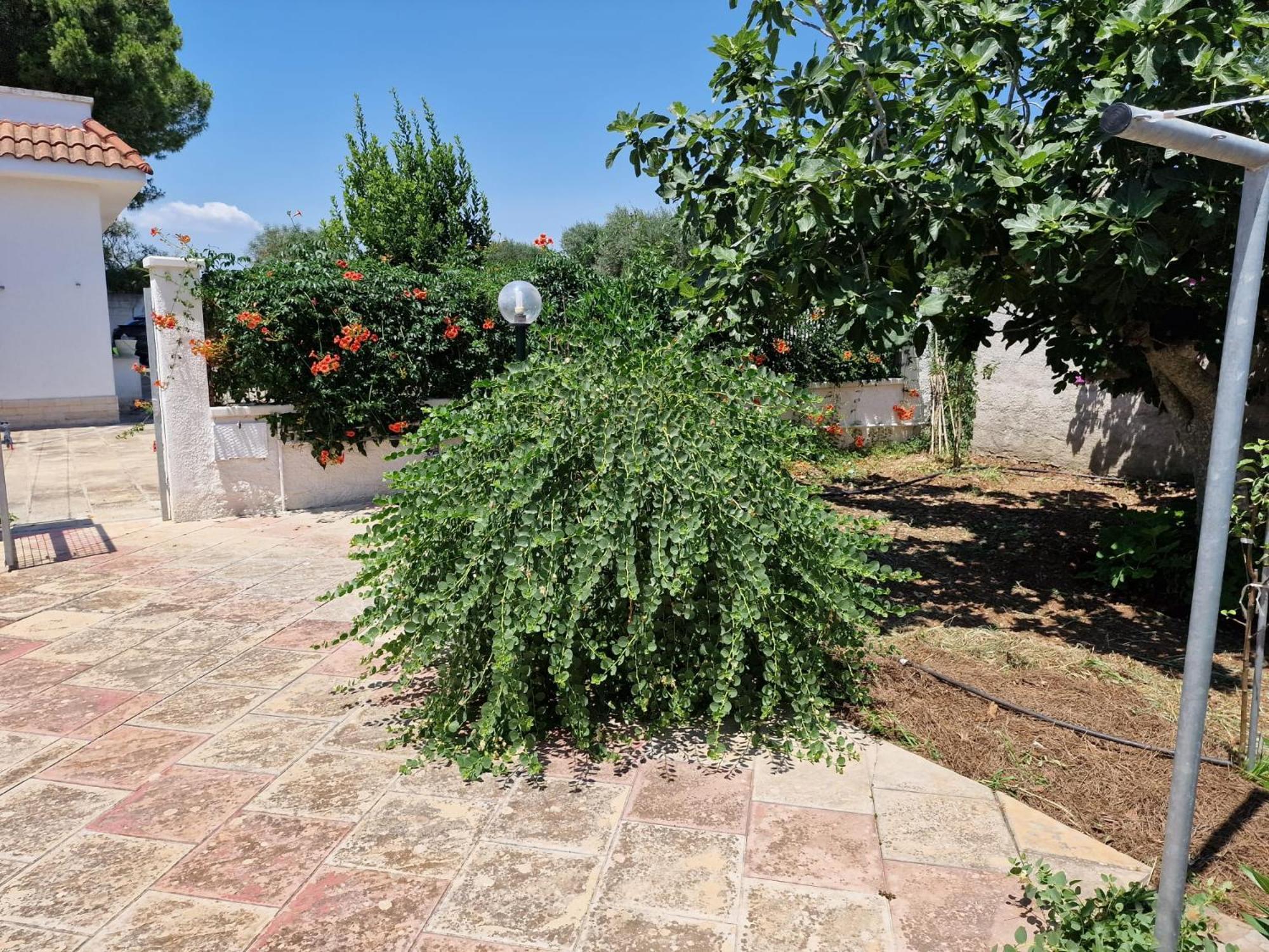 Villa Carmela A San Pietro In Bevagna Eksteriør billede